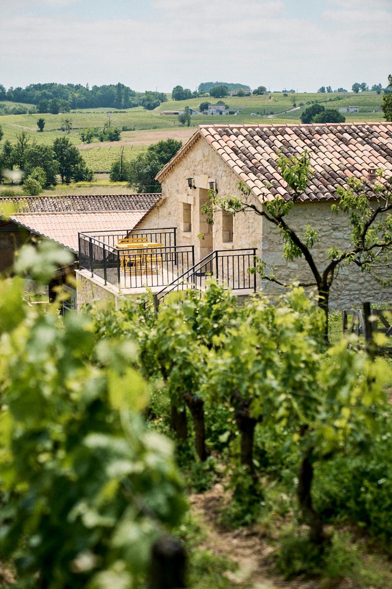 Gite Au Coeur Des Vignes Montagne  Extérieur photo